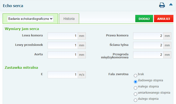 Formularz wykorzystujący pola z jednostkami - w trakcie edycji